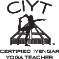 CIYT_nataraj_temple_TYPE_logo_k